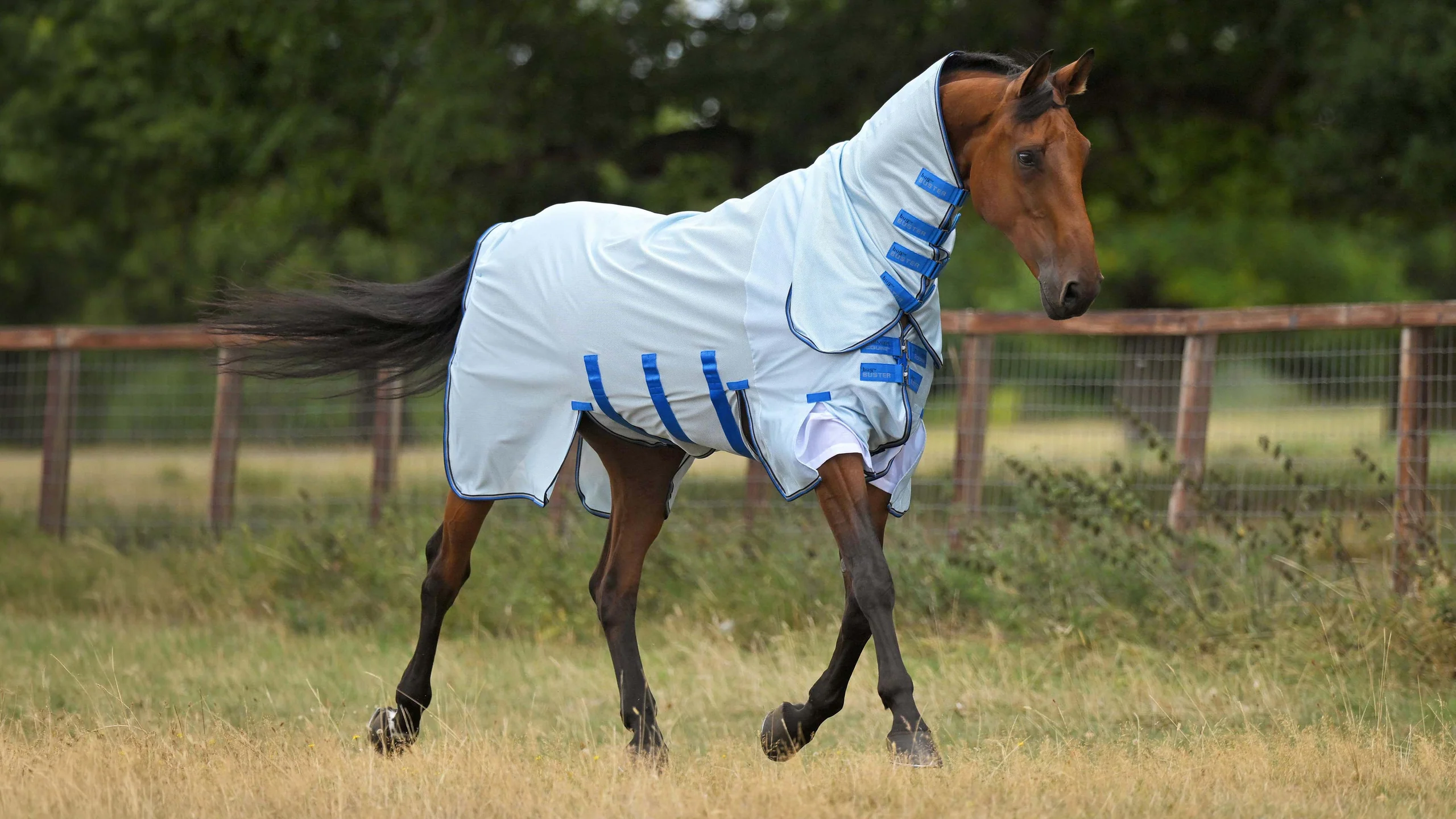 Elite Performance for Every Rider